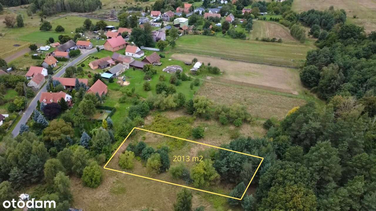 Działka budowalna z lasem i dostępem do mediów, mpzp - Pełny obrazek: 1/9