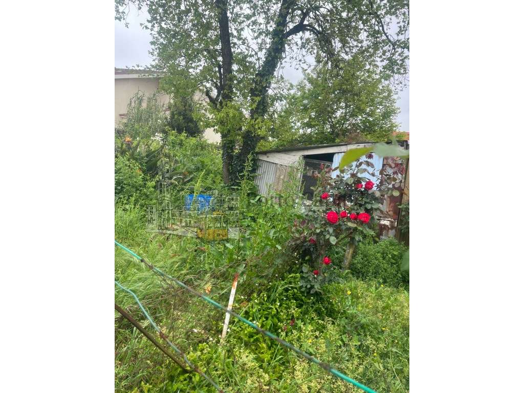 Terreno 1000m² com Viabilidade para Edifício - Sra. da Hora - Grande imagem: 5/20