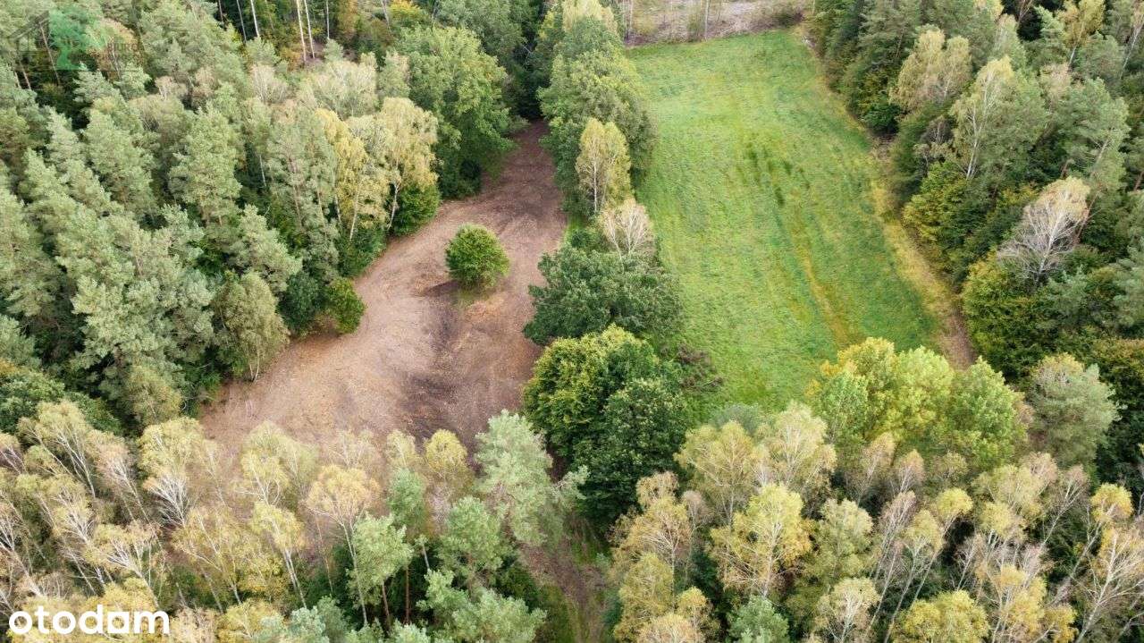 Duża działka siedliskowa 4600 m2 Strzebielino Wyb.-7