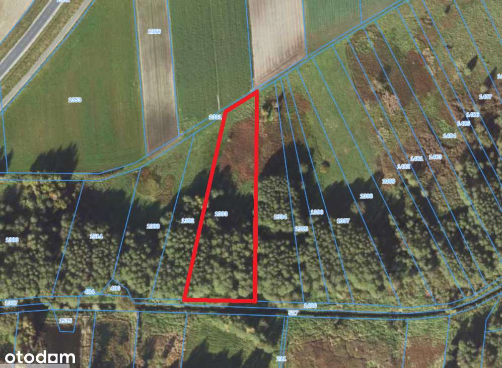 Siedlisko / ranczo / gospodarstwo / dom 6,4 ha + las + staw + zabudow. - Pełny obrazek: 5/5