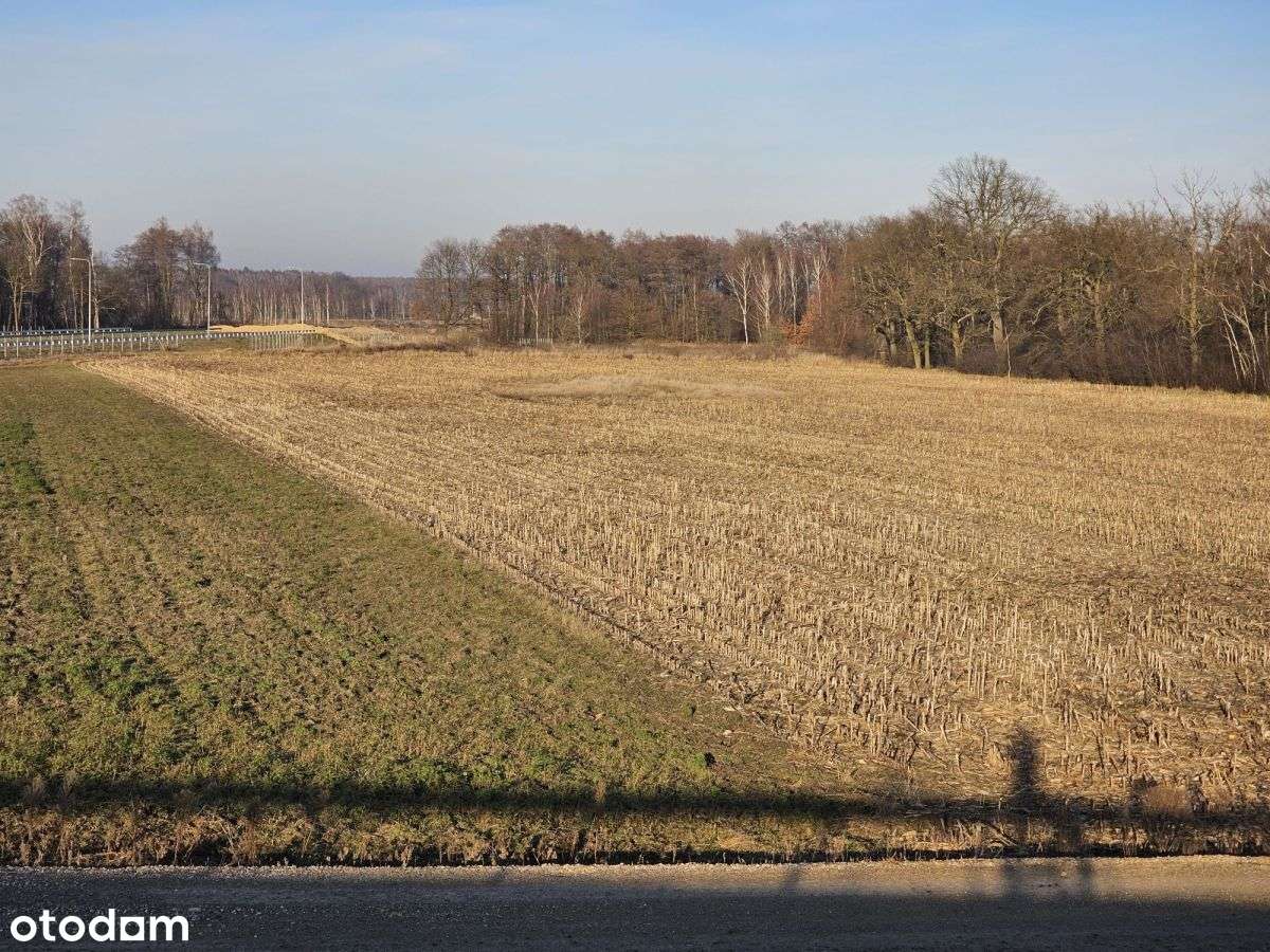 Teren inwestycyjny przy S1 węzeł Oświęcim-6