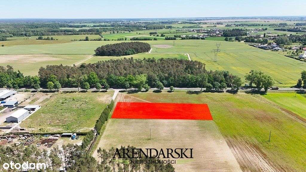 Grunt Z Wz W Kłodawie! - Pełny obrazek: 4/8