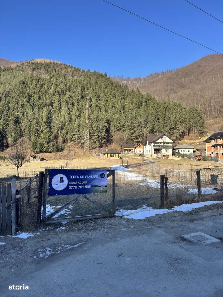 Teren de exceptie in Rucar, aproape de Brasov – intimitate, natura s-1