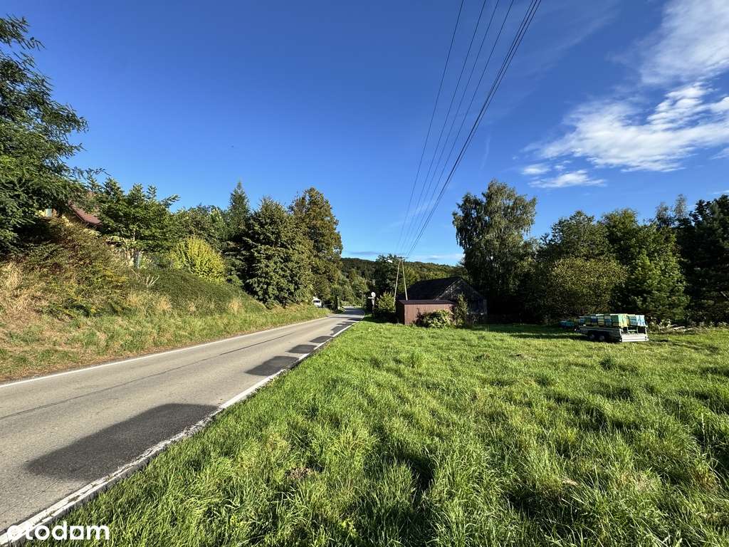 Własne niebo tuż pod lasem z dostępem do rzeki - Pełny obrazek: 5/8