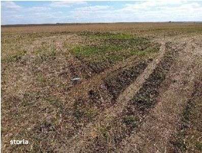 Teren extravilan cota parte 1/2 Alexandria, ID: R2814838 - Imagine principală: 5/7
