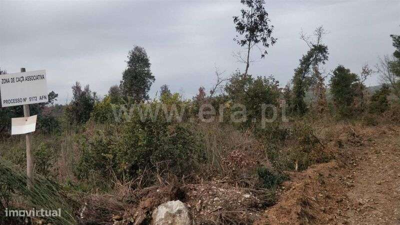 Terreno Rústico / Fundão, Vales Pêro Viseu - Grande imagem: 4/8