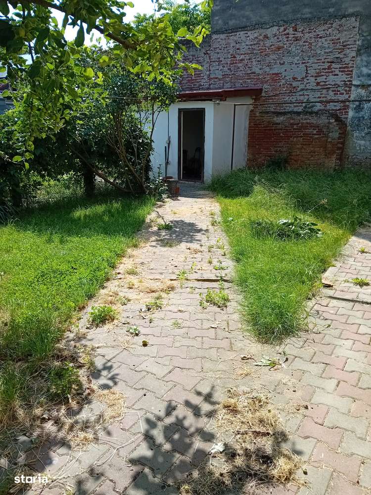 Casa 6 camere , ELISABETIN -  langa Observatorul Astonomic-15