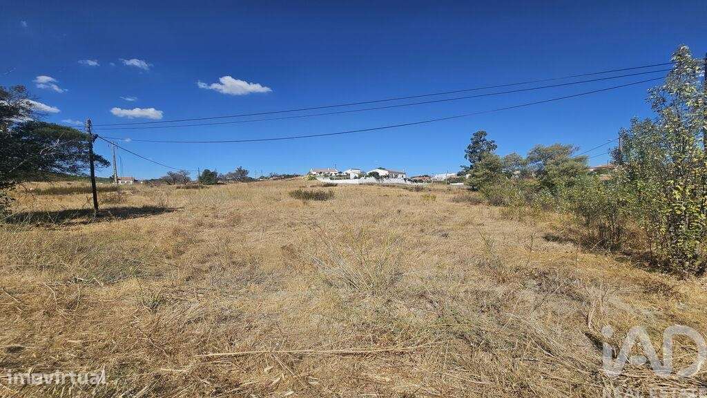 Terreno em Alcoutim e Pereiro de 2750,00 m2 - Grande imagem: 4/13