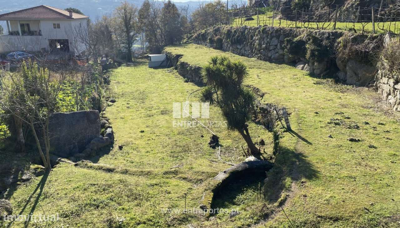 Venda Terreno e Mata com área de 5640 m2, Soalhães, Marco de Canaves - Grande imagem: 2/30