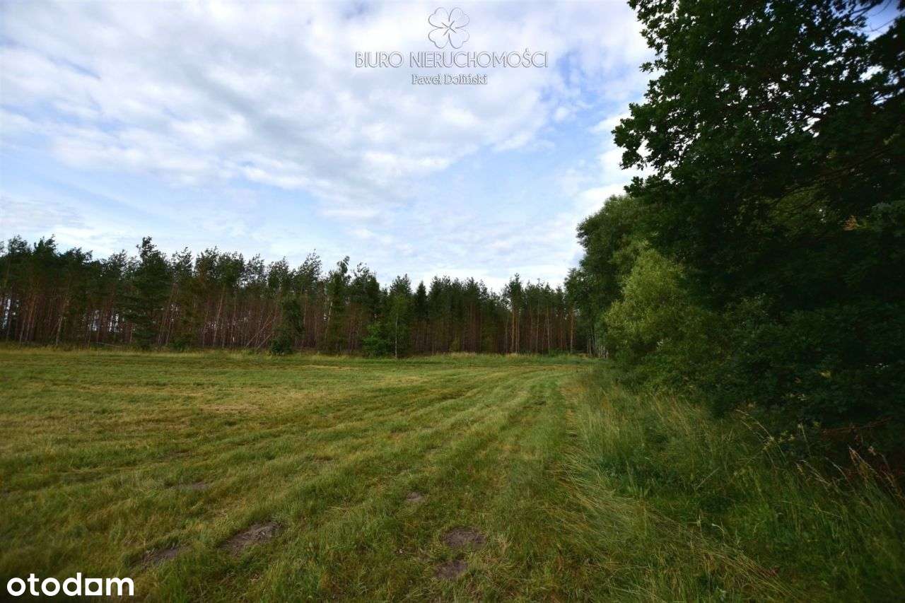 Działka 6,98 ha, Szafranki Mpzp turystyka - Pełny obrazek: 4/10