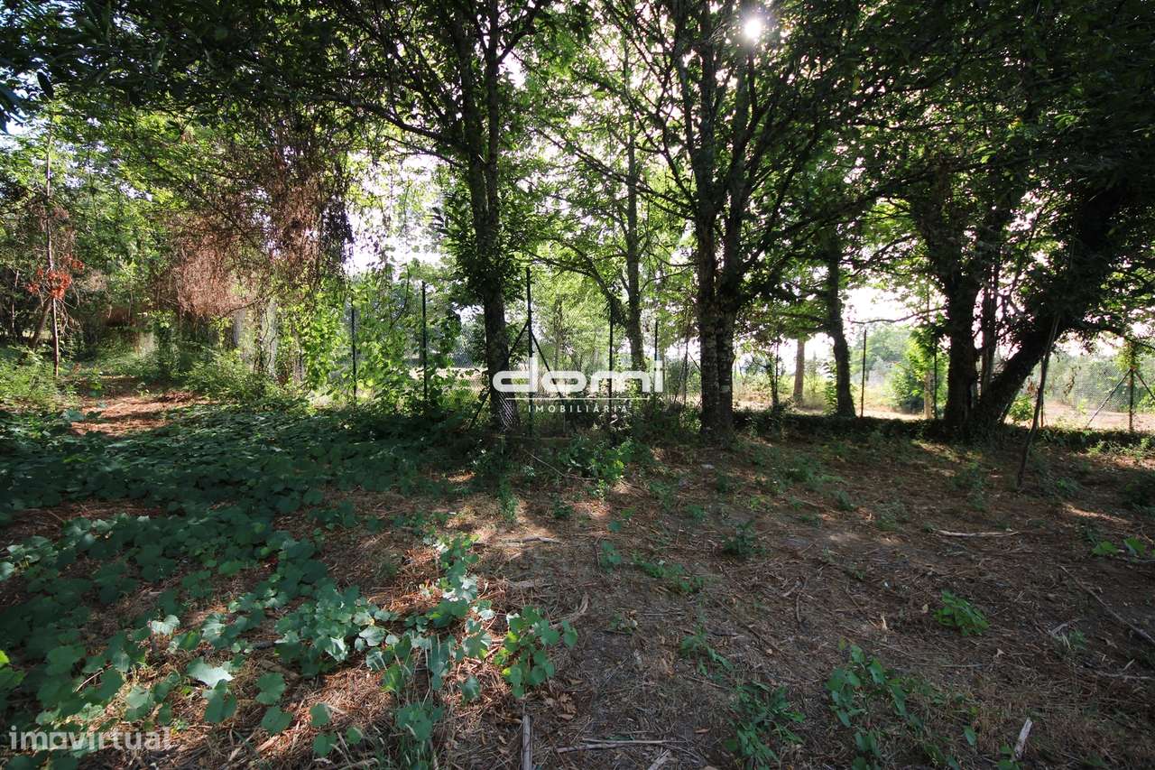 Terreno com Viabilidade de Construção em São Miguel do Mato, Vouzela - Grande imagem: 5/11