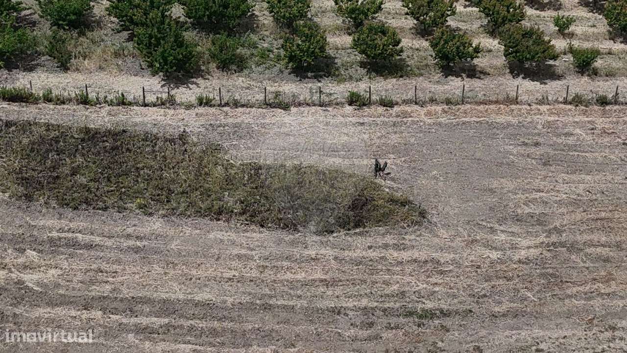 Terreno  para venda - Grande imagem: 4/18