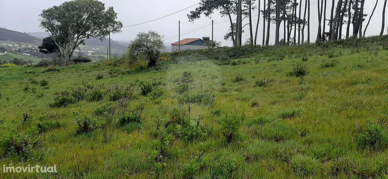 Terreno  para venda