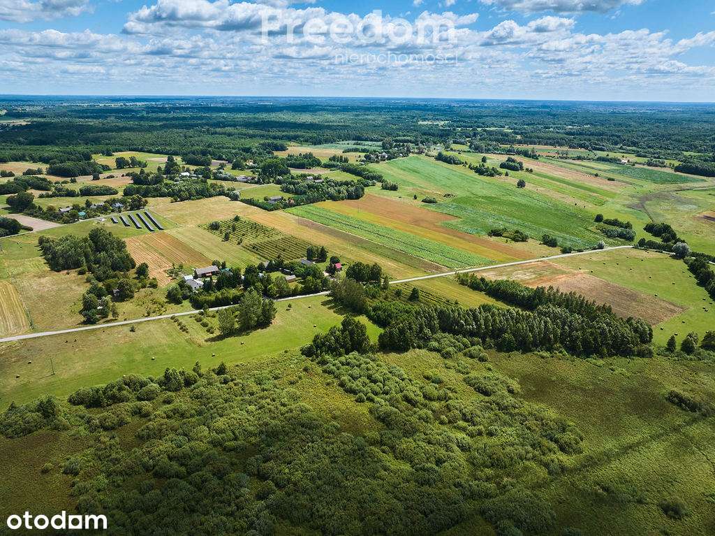 Działka w Żalinie, warunki zabudowy. - Pełny obrazek: 4/11