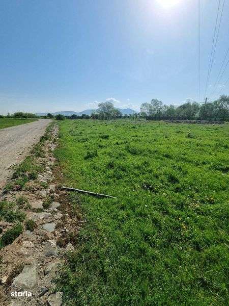 Vand Teren 5000m2 Tohanul Nou - Imagine principală: 4/8