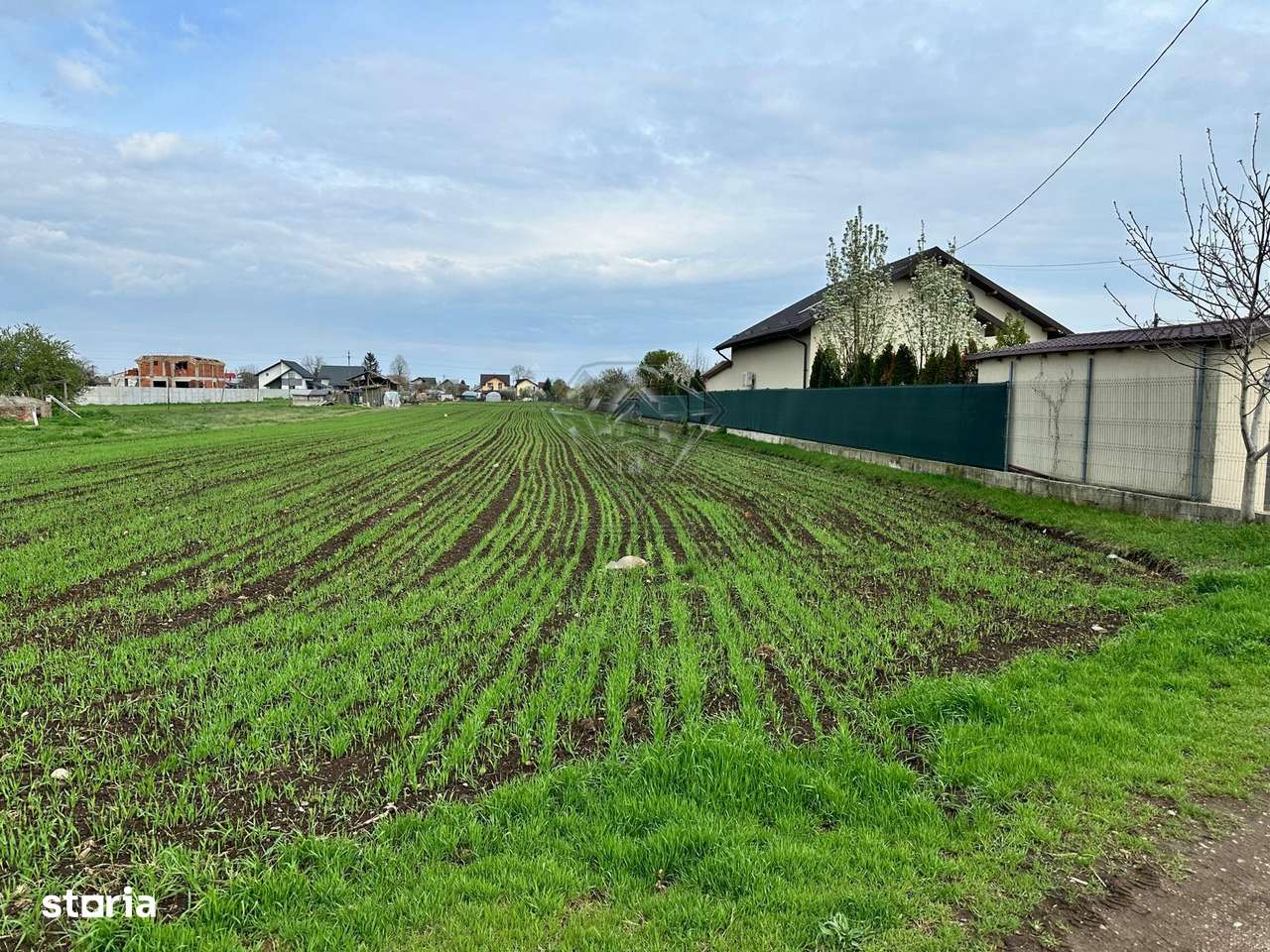 TEREN INTRAVILAN STREJNICU - Imagine principală: 4/6