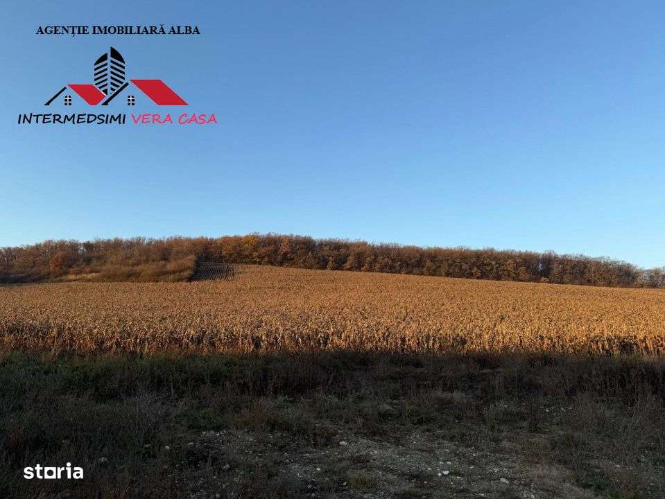 Teren extravilan de vanzare Vingard Jud Alba - Imagine principală: 4/4