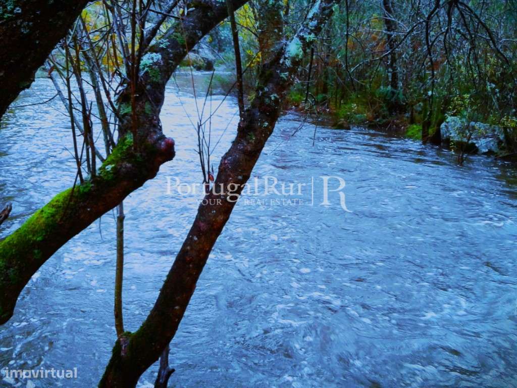 Quinta Rural 8.000 m2 - 2 Casas Habitáveis - confina com Ribeira-27