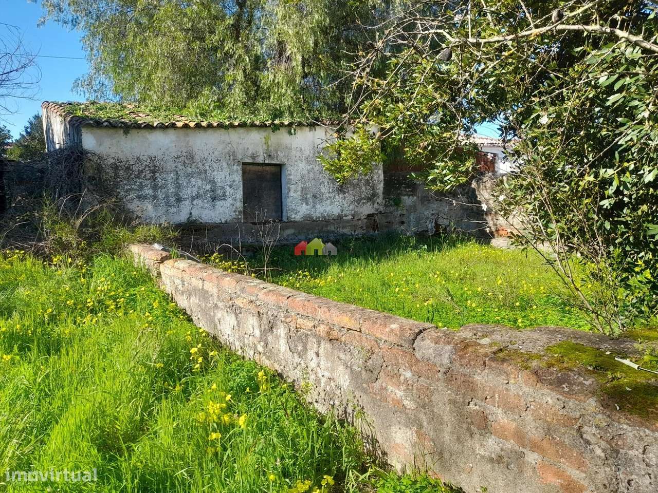 Qta Pedrogão com viabilidade de construção habitação-7