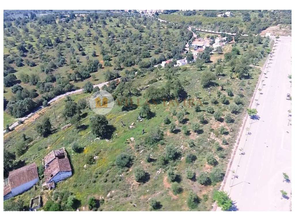 Quinta com ruínas com 27.000 m² - Tavira. - Grande imagem: 2/9