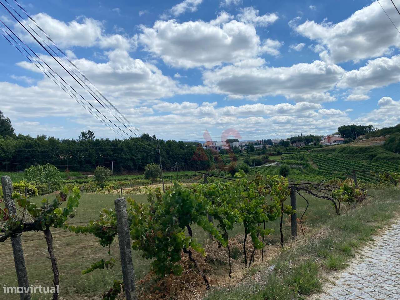 Quintinha com 26.155 m²  em Silvares Lousada - Grande imagem: 3/29