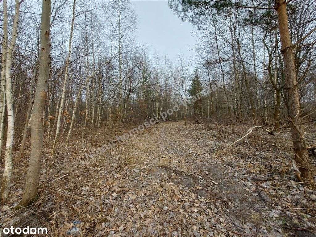 Zielono I Bezpiecznie - Warunki Zabudowy. - Pełny obrazek: 5/7