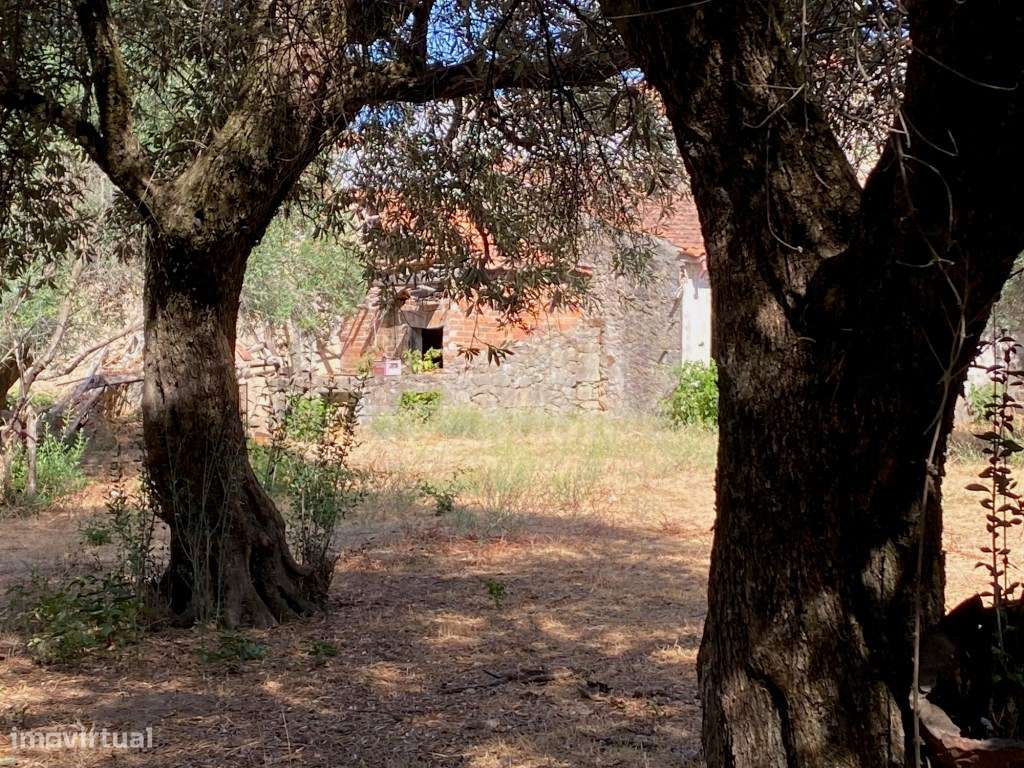 Moradia independente com 500 m2 área bruta-13