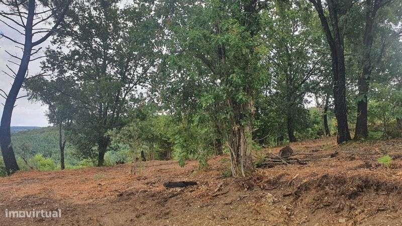 Terreno 1,2 ha com viabilidade de construção – Esculca - Grande imagem: 4/12