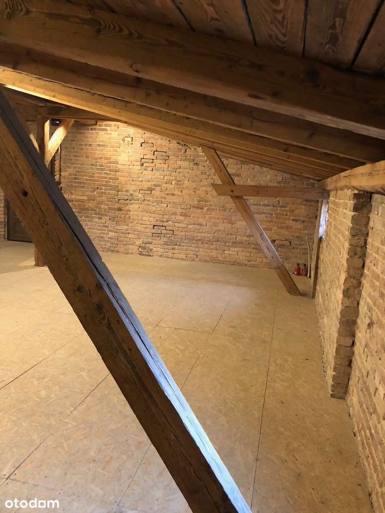 Do aranżacji na 3-4 mieszkania w zadbanej kamienicy-Śródmieście, - Pełny obrazek: 5/8