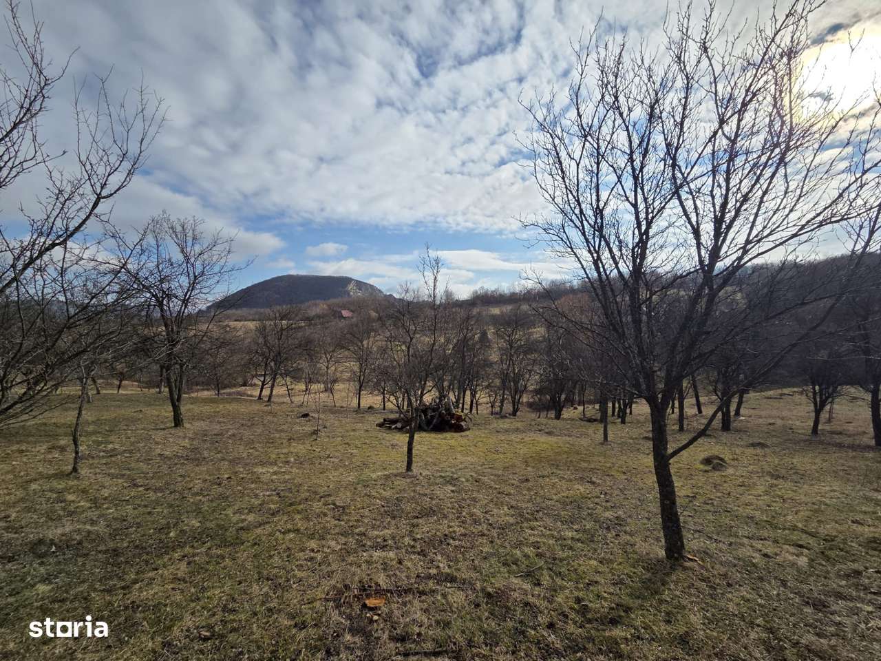 Teren intravilan, 3800 mp, ideal investitie - zona turistica , Moigrad-3