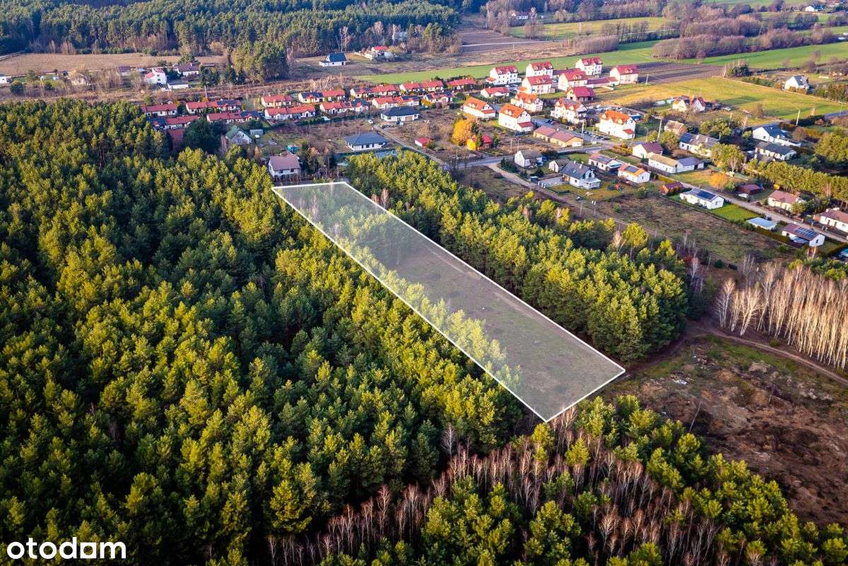 Duża działka częściowo zalesiona niedaleko jeziora - Pełny obrazek: 4/10