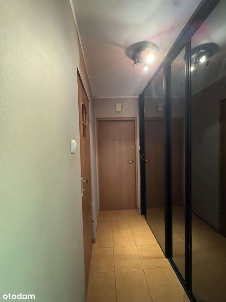 ul. Marcelińska / 48 mkw / 3 pokoje - Pełny obrazek: 5/12