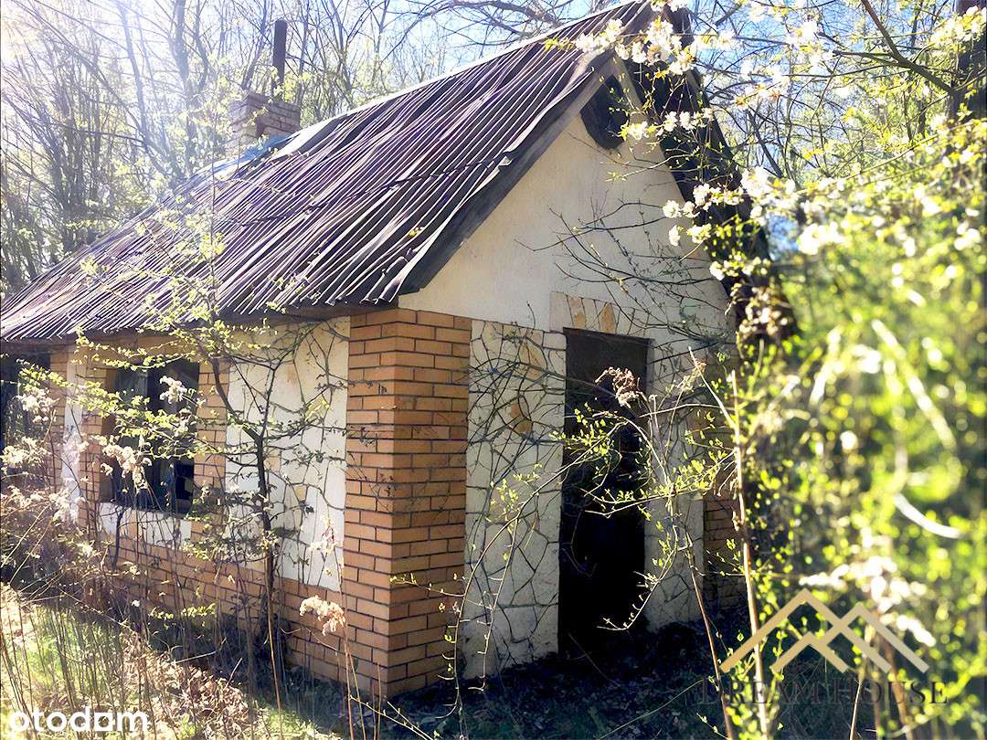 Zamień marzenia w rzeczywistość blisko Kazimierza - Pełny obrazek: 4/20