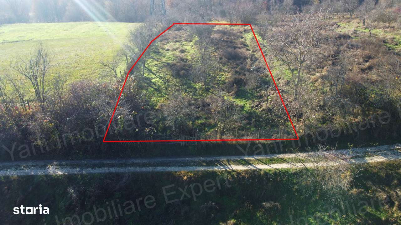 Teren de vânzare în Curtea de Argeș.-4