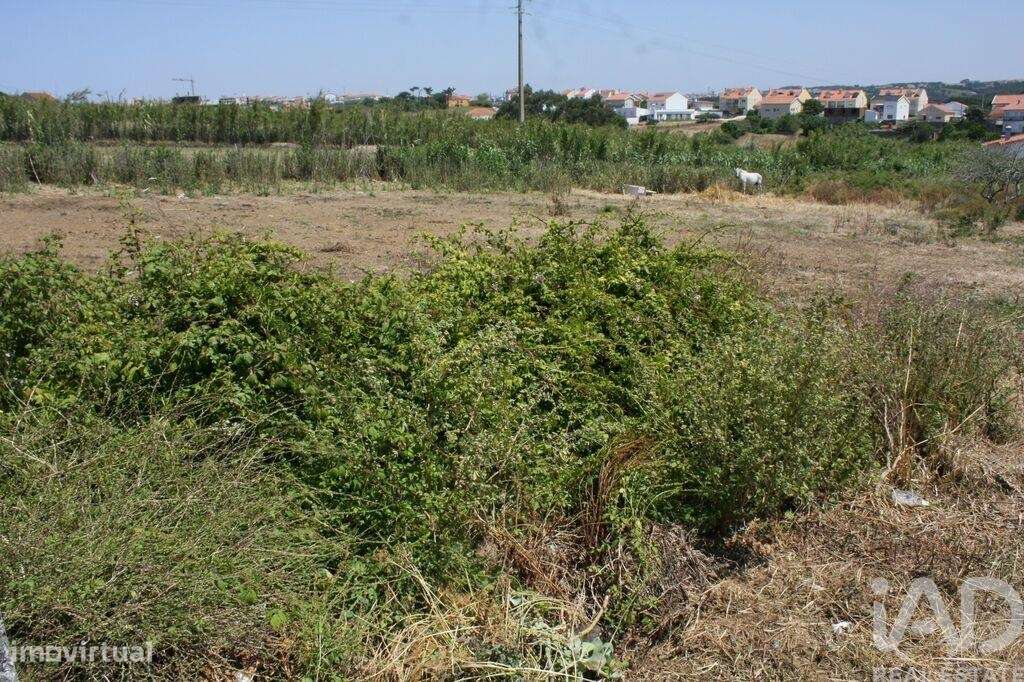 Terreno em A dos Cunhados e Maceira de 4160,00 m2 - Grande imagem: 3/14