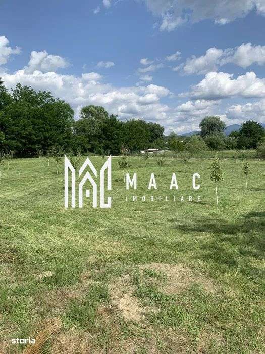 Hala Industrială | Teren 5000 mp | Marșa - Imagine principală: 4/4