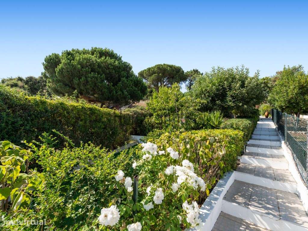 T3+1 COM 2 TERRAÇOS. ANEXO COM PISCINA-10