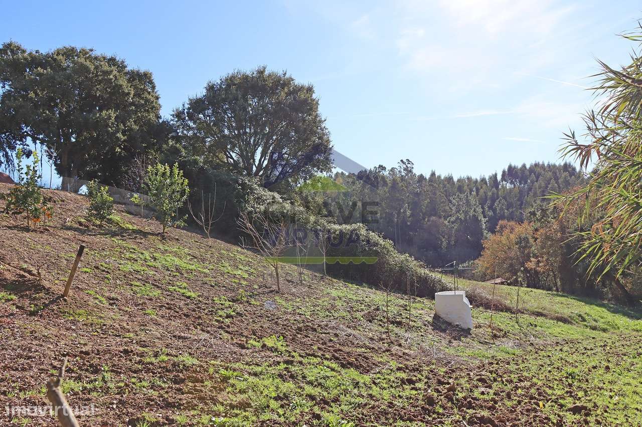 Magnífica Quinta c/ 10.490 m2 Concelho Cadaval-33