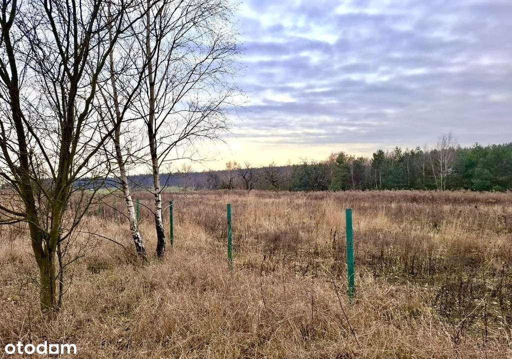 Działka budowlana w Pniewach-2