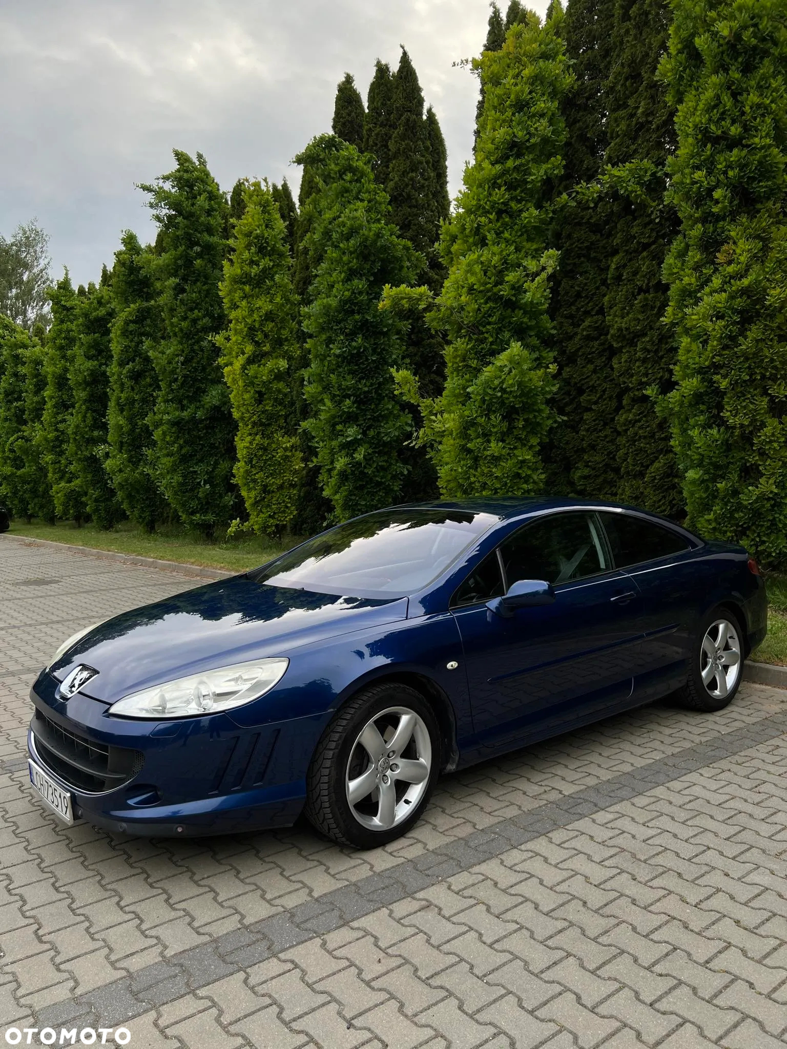 Peugeot 407 2.0 HDi Premium - 5