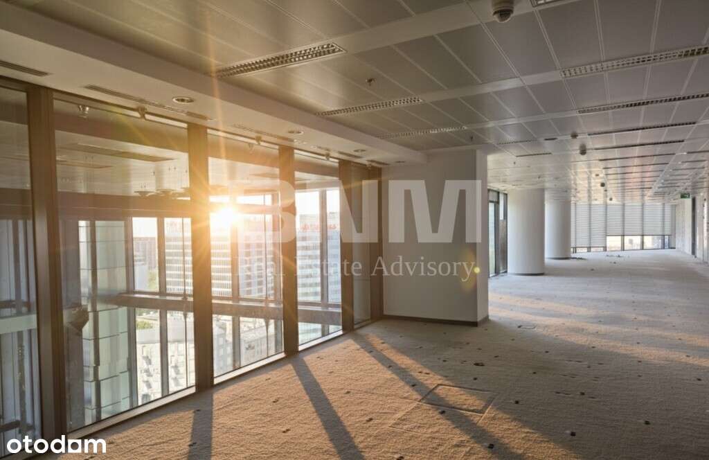 Biuro z pięknym widokiem - Pełny obrazek: 3/15