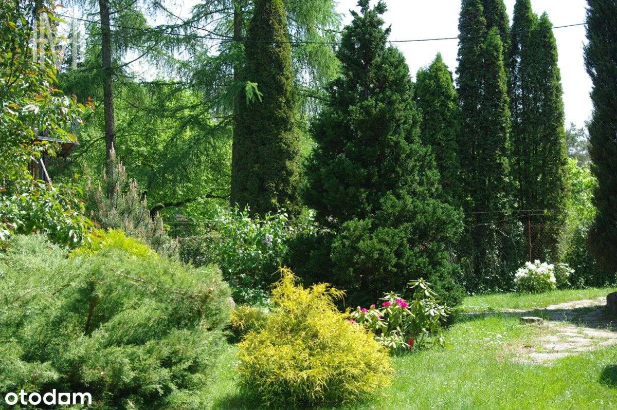 Duży dom przy Kampinoskim Parku Narodowym i Wiśle - Pełny obrazek: 5/20