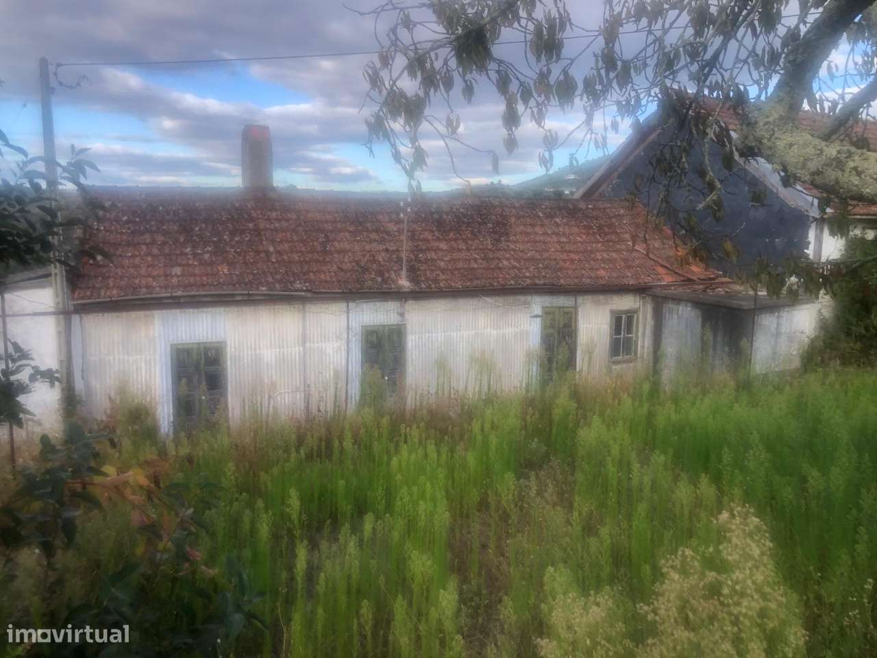 Casa de campo - 6 km do Rio Douro - Régua-1