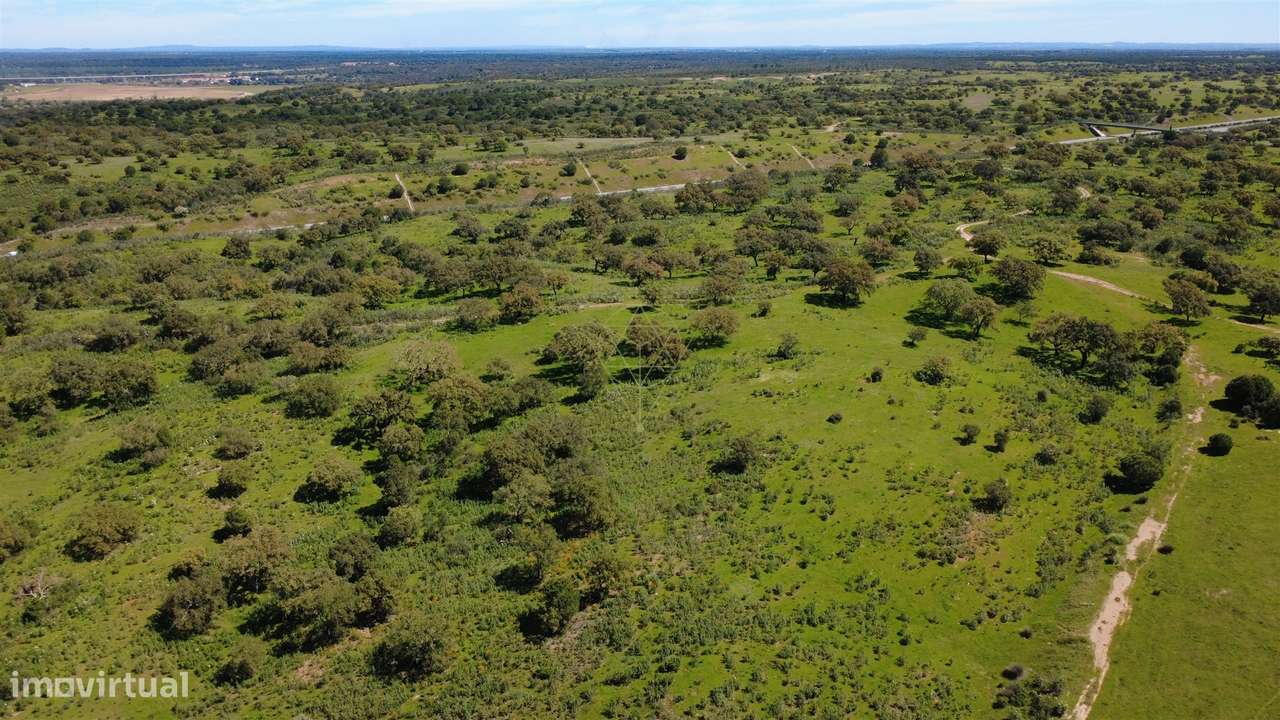 Herdade  Venda em Figueira dos Cavaleiros,Ferreira do Alentejo-10