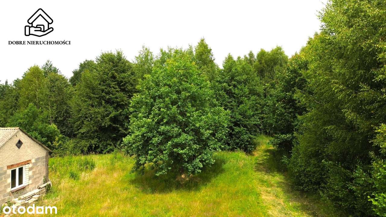 Wola Uhruska - 2,11 ha - Zabudowa Jednorodzinna - Pełny obrazek: 5/7