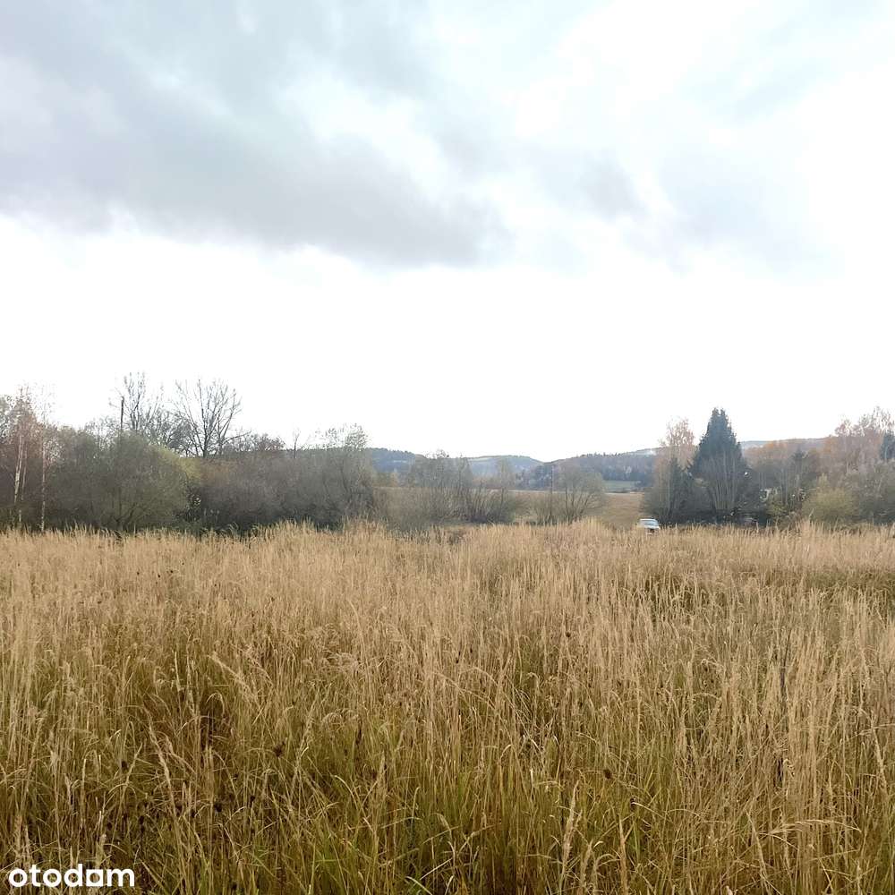 Działka w rejonie górskim blisko Śnieżnika - Pełny obrazek: 5/10