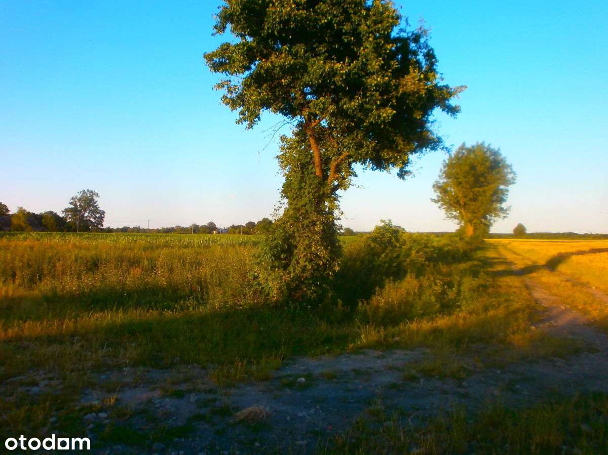 Goniczki k/Wrześni działka budowlana-18