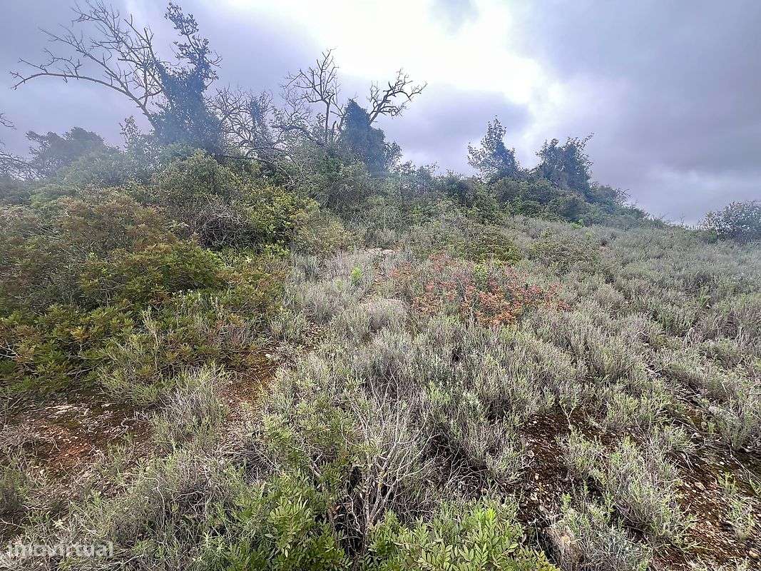 Terreno  para venda - Grande imagem: 3/11