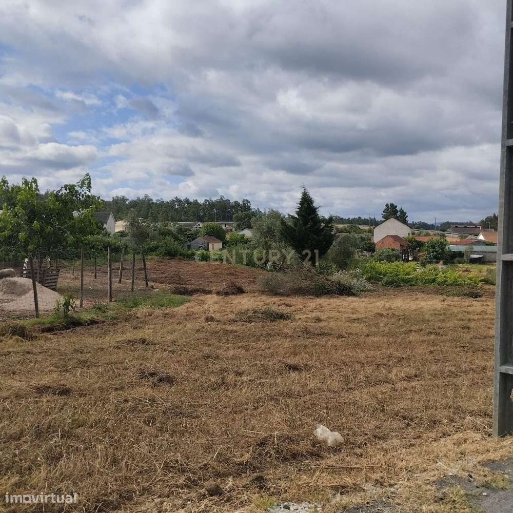 Terreno em Simões, Soure. - Grande imagem: 2/14