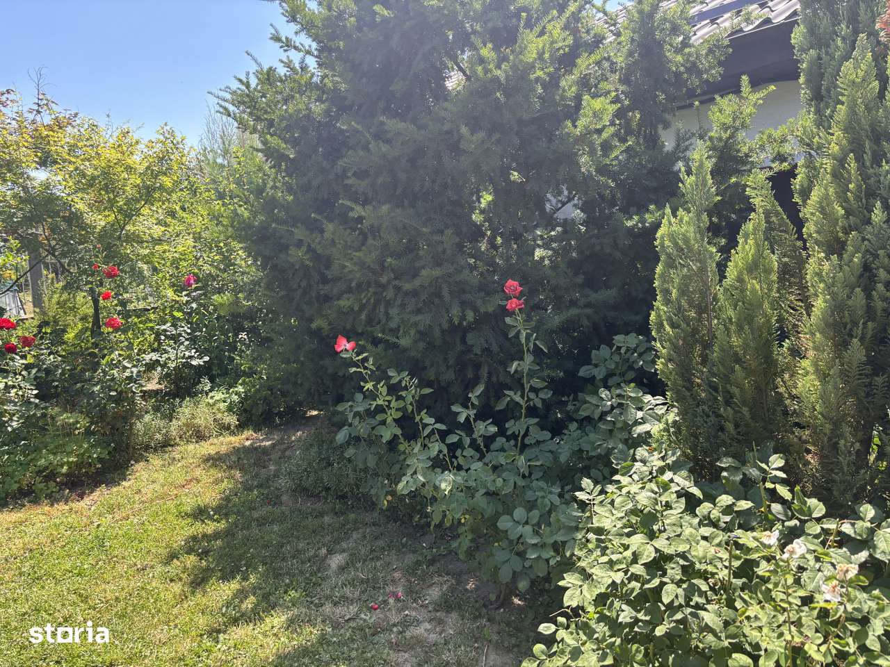 Vand casa cu teren 3900 mp Sag 280000 euro-11